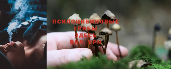 дистиллят марихуана Белокуриха