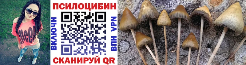 наркота  Мосальск  Галлюциногенные грибы MAGIC MUSHROOMS 